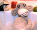 monkey bathing