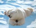 relax lazy