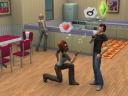 sims love