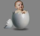 perfect baby egg donor