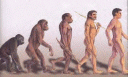 ape man